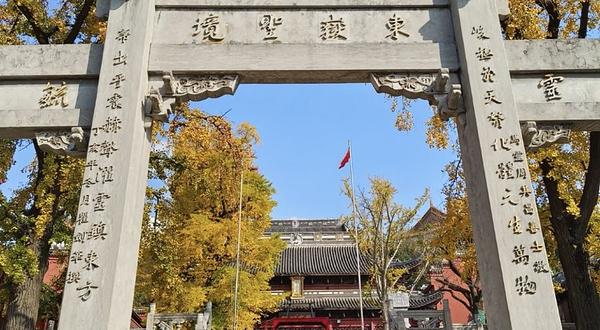 东岳庙(君山路)