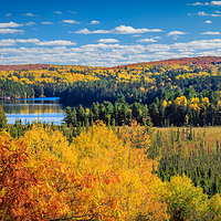 阿尔冈金省立公园