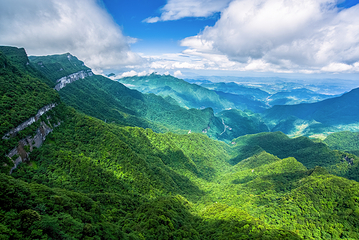 金佛山第 19 张图片