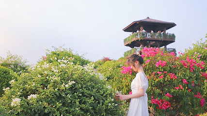 千花洲生态景区第 134 张图片