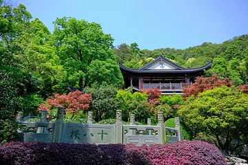 龙井村第 20 张图片