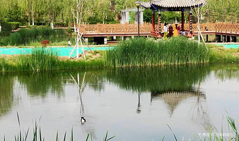 北川河湿地公园