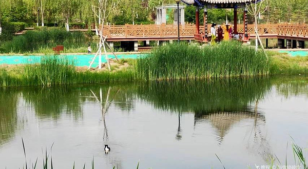 北川河湿地公园