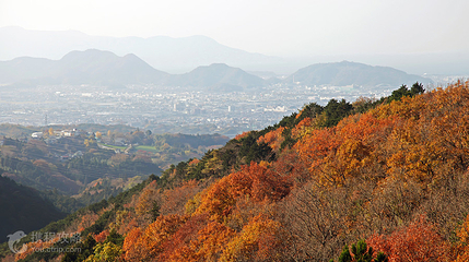 三岛天空步道第 2 张图片