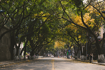 中山四路第 10 张图片