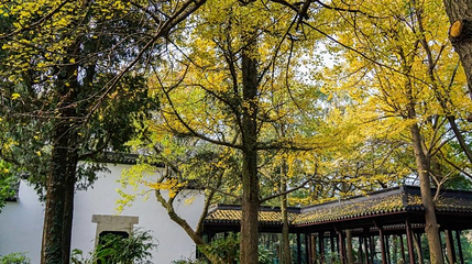 敬一书院第 1 张图片