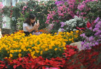 花舞人间第 50 张图片