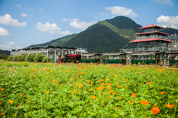 缙云县笕川花海第 1 张图片