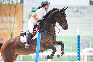 巡安马术俱乐部