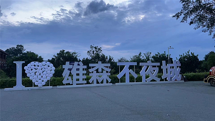 雄森不夜城第 2 张图片