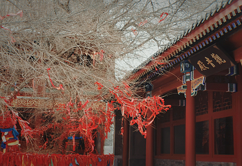 孝庄园文化旅游区第 48 张图片