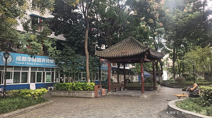 梅园第 1 张图片