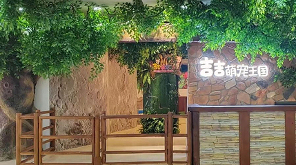 吉吉萌宠王国第 1 张图片
