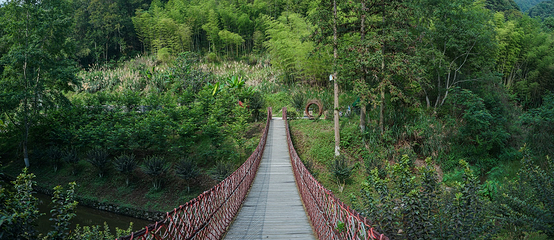 经律论文化旅游小镇第 66 张图片