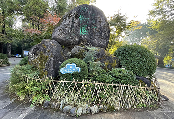 高黎贡山第 73 张图片