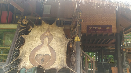 拉祜族寨第 2 张图片