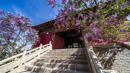 武威海藏寺第 1 张图片