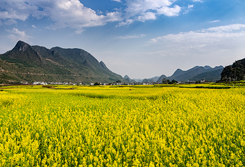 万峰林景区第 4 张图片