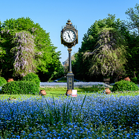 西斯米吉乌花园