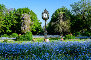 西斯米吉乌花园