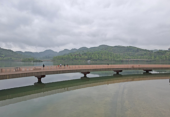 新蒲湿地公园第 46 张图片