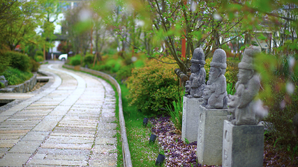 东山问梅村第 18 张图片