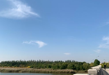 海河教育园区湿地公园第 1 张图片