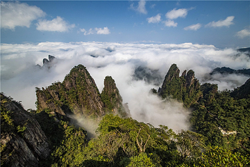 莽山五指峰景区第 50 张图片