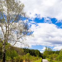 伊春兴安国家森林公园