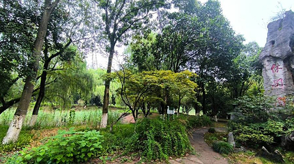 生态湿地公园第 1 张图片