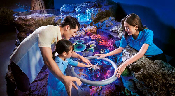 曼谷暹罗海洋世界