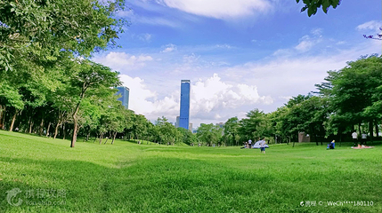 深圳中心公园-A区第 3 张图片