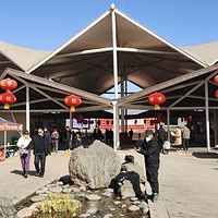 济水之源文化旅游区·牡丹园