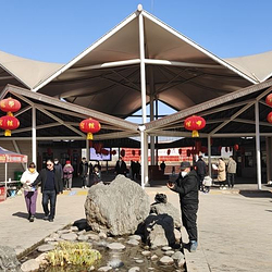 济水之源文化旅游区·牡丹园