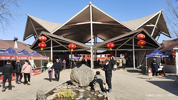 济水之源文化旅游区·牡丹园