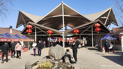 济水之源文化旅游区·牡丹园第 1 张图片