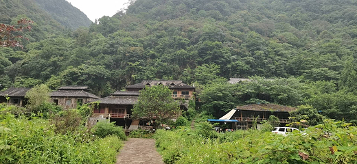 荔波茂兰自然保护区第 30 张图片