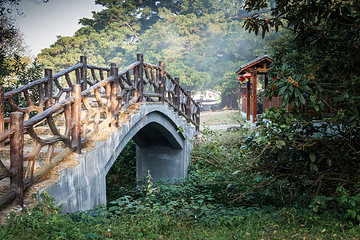 杨家溪第 32 张图片