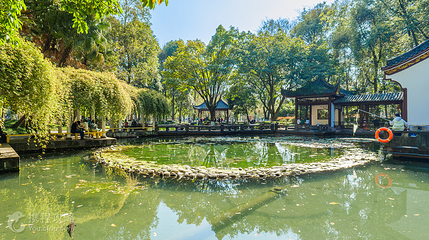 温江公园第 3 张图片
