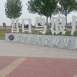 营口鸟浪广场