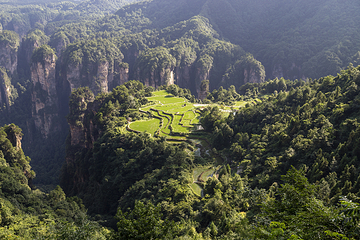 天子山风景区第 55 张图片