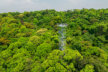 高黎贡山第 47 张图片