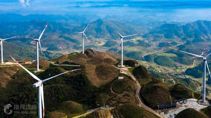 太阳坪映山红景区第 8 张图片