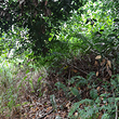 东极仙谷自然风景区