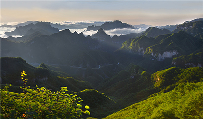 蟒河生态旅游区第 11 张图片