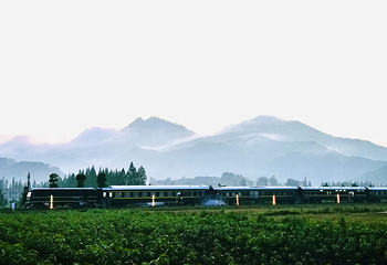 黄梅袁夫稻田农场第 26 张图片