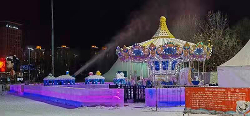 沈阳奥体冰雪嘉年华第 87 张图片