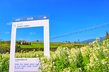 栖云花田第 13 张图片