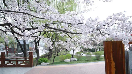 大唐芙蓉园第 74 张图片