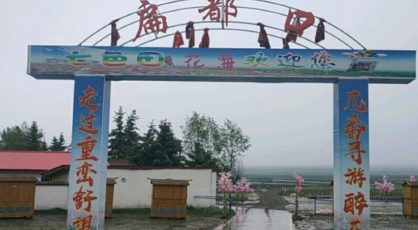 扁都口七色田花海